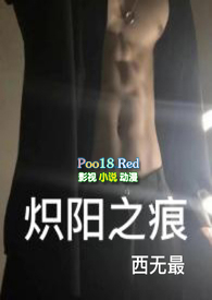 炽阳之痕内容
